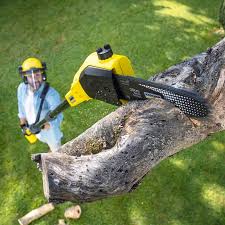 Best Leaf Removal Services  in Gustine, CA